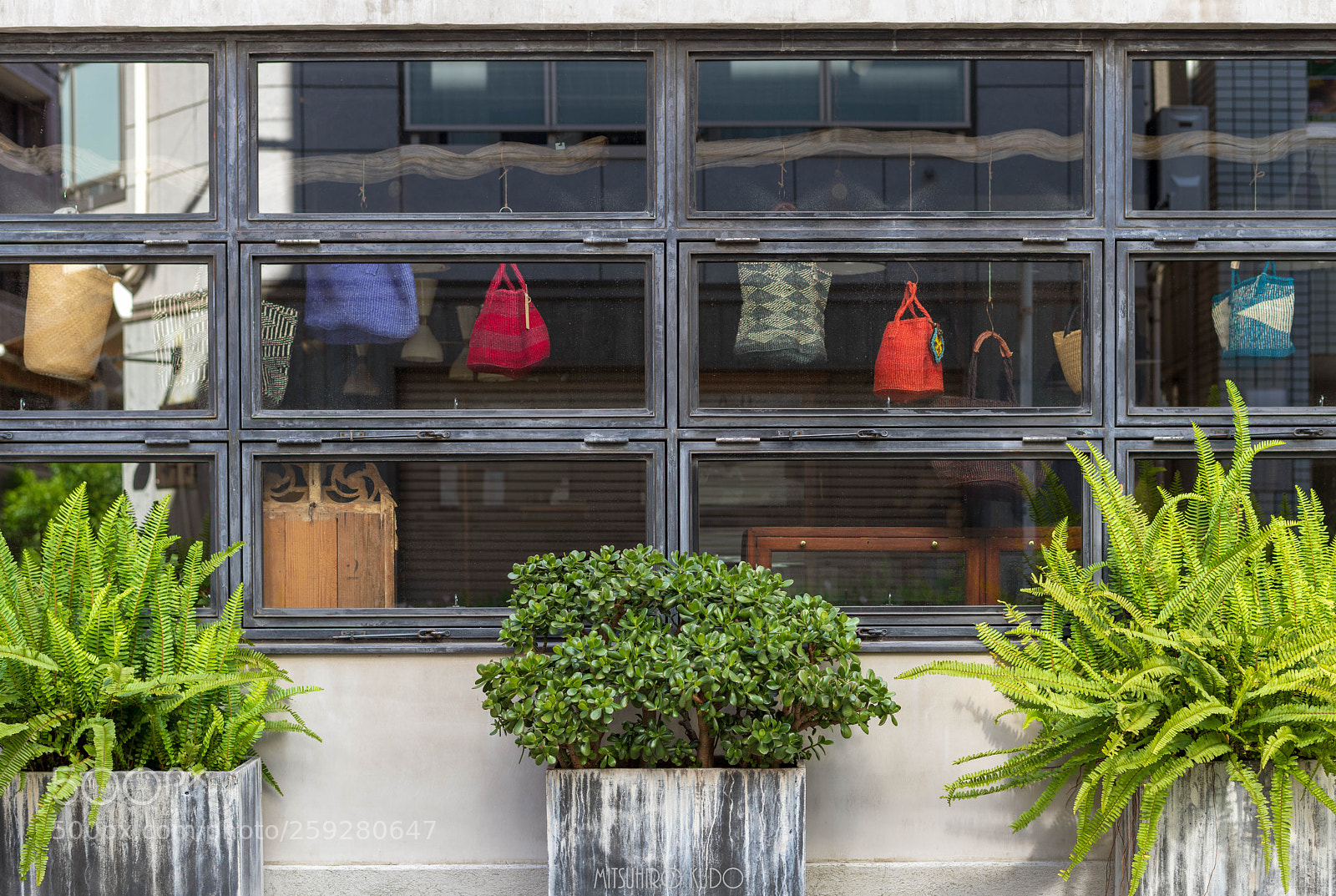 Nikon D850 sample photo. Window photography
