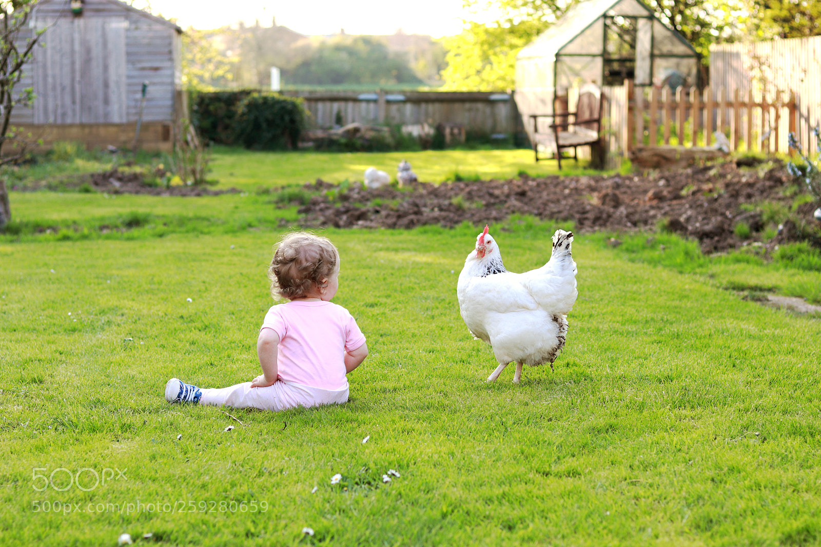 Canon EOS 200D (EOS Rebel SL2 / EOS Kiss X9) sample photo. Chicken chat photography