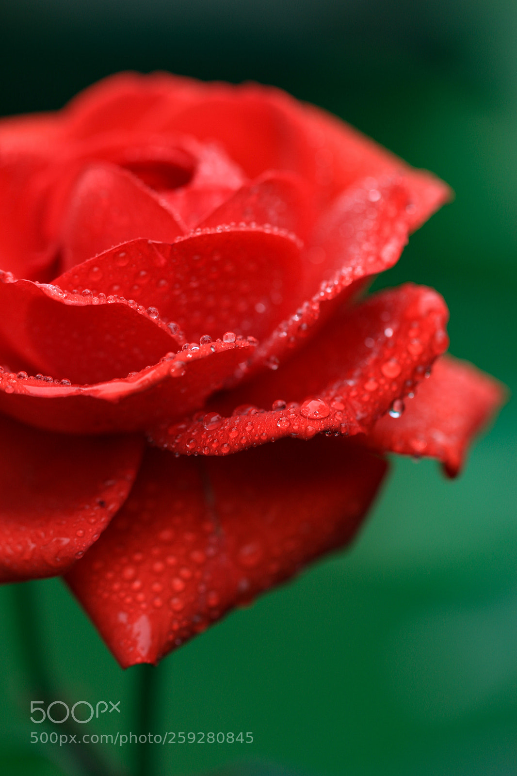 Canon EOS 70D sample photo. Untitled photography