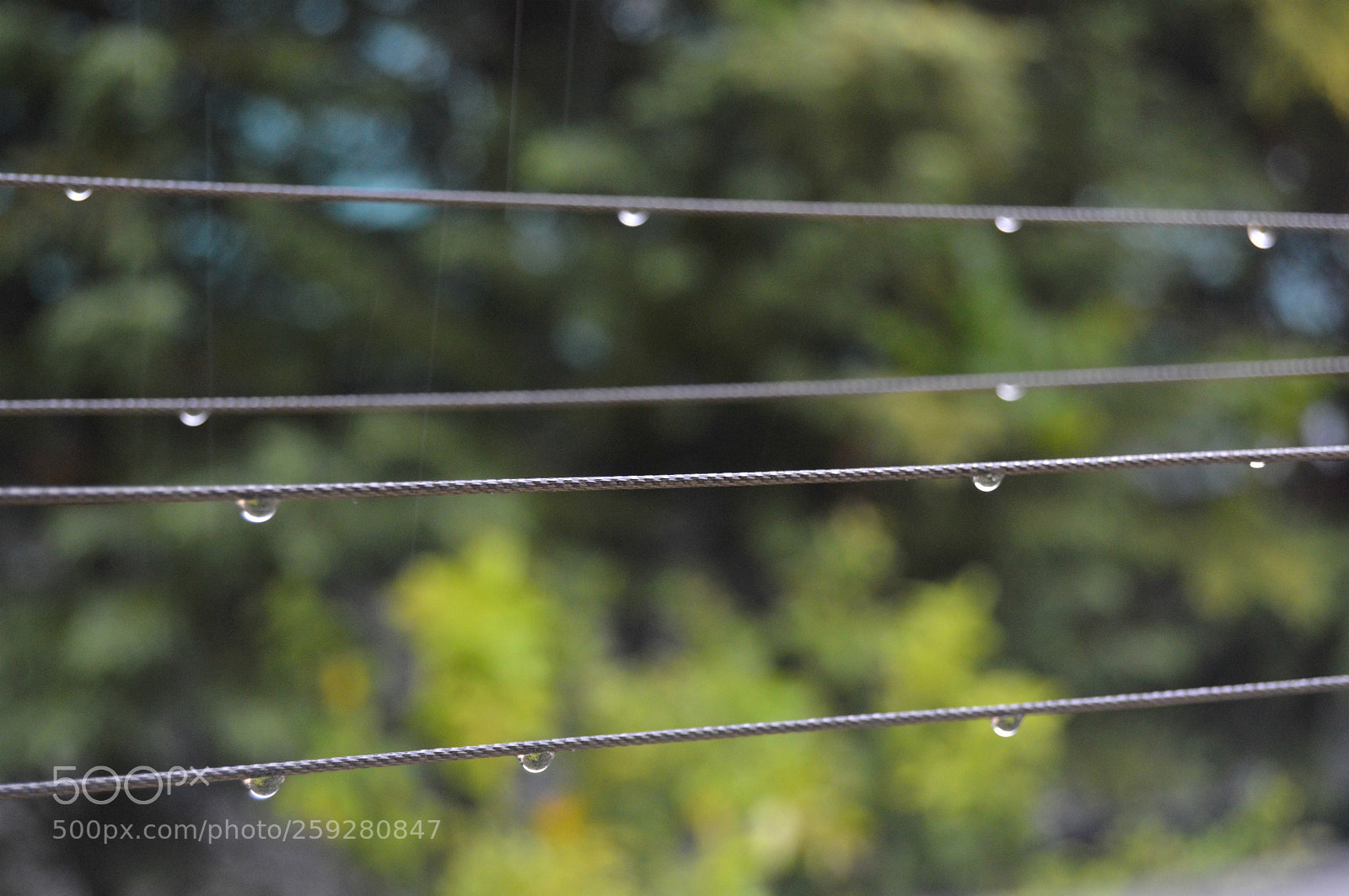 Nikon D3200 sample photo. Untitled photography
