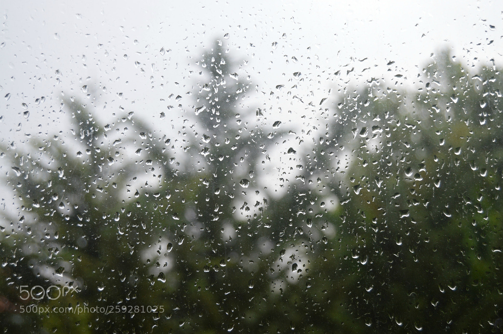 Nikon D3200 sample photo. Untitled photography