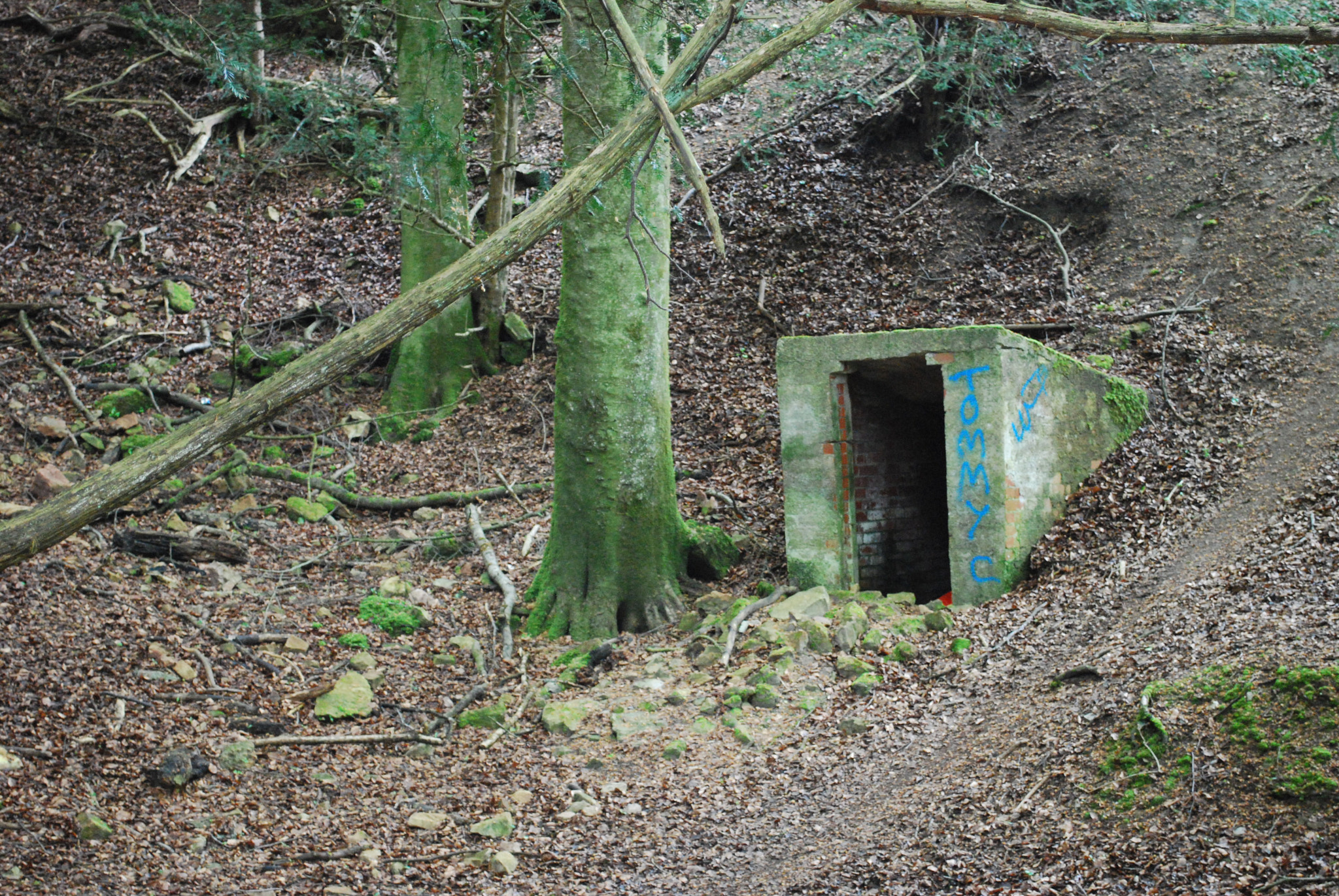 Nikon D60 sample photo. Entrance to hell photography