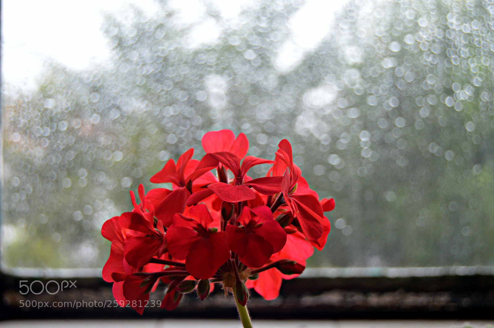 Nikon D3200 sample photo. Untitled photography
