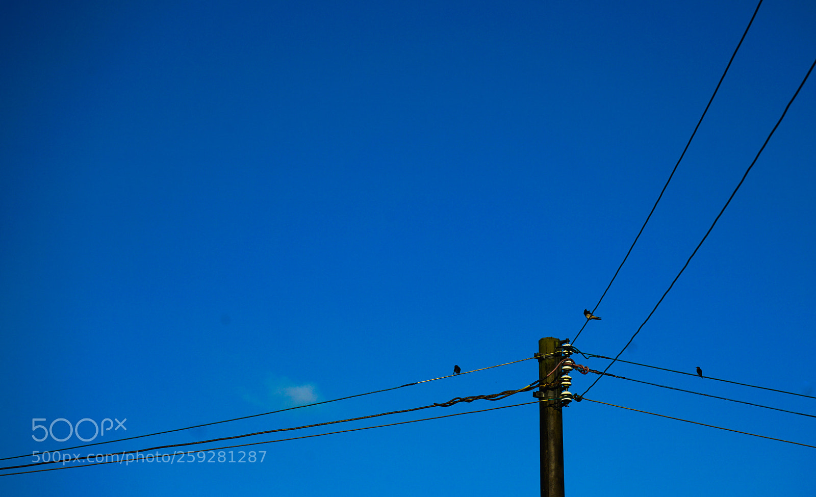 Sony a7R II sample photo. Untitled photography