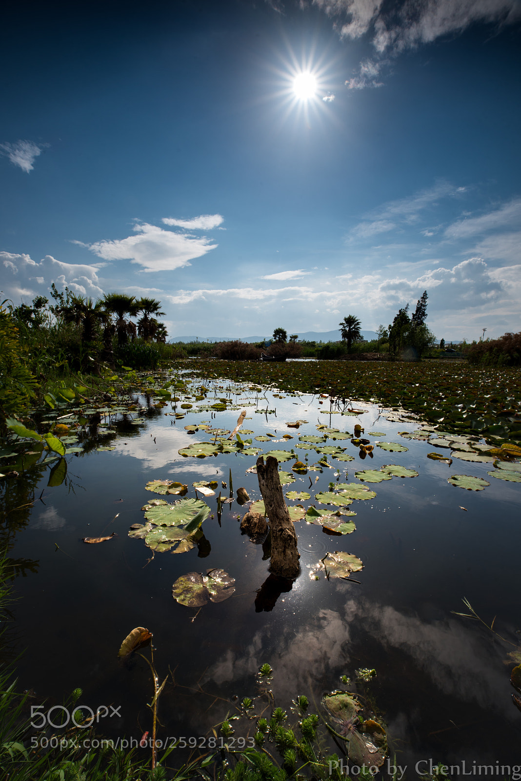 Nikon D750 sample photo. Sunny day photography