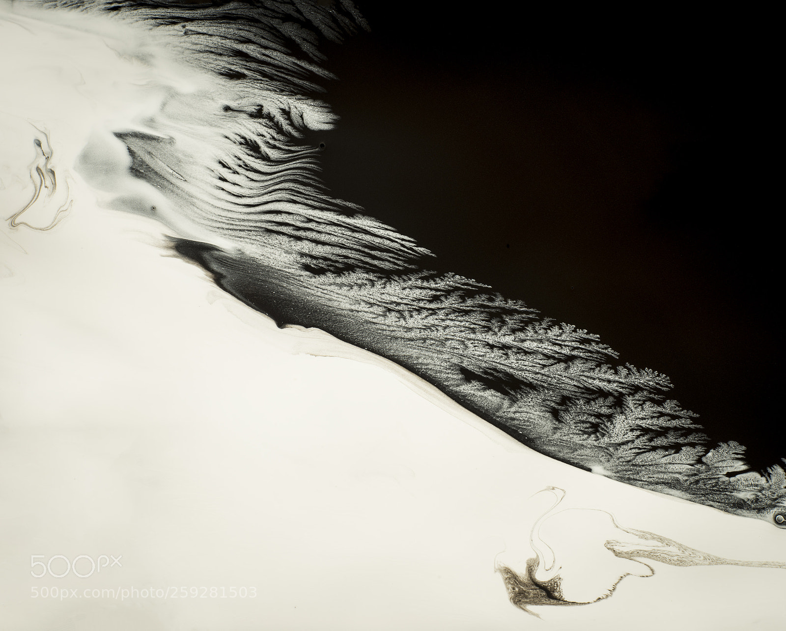 Sony a7R sample photo. Plate 7241-2 photography