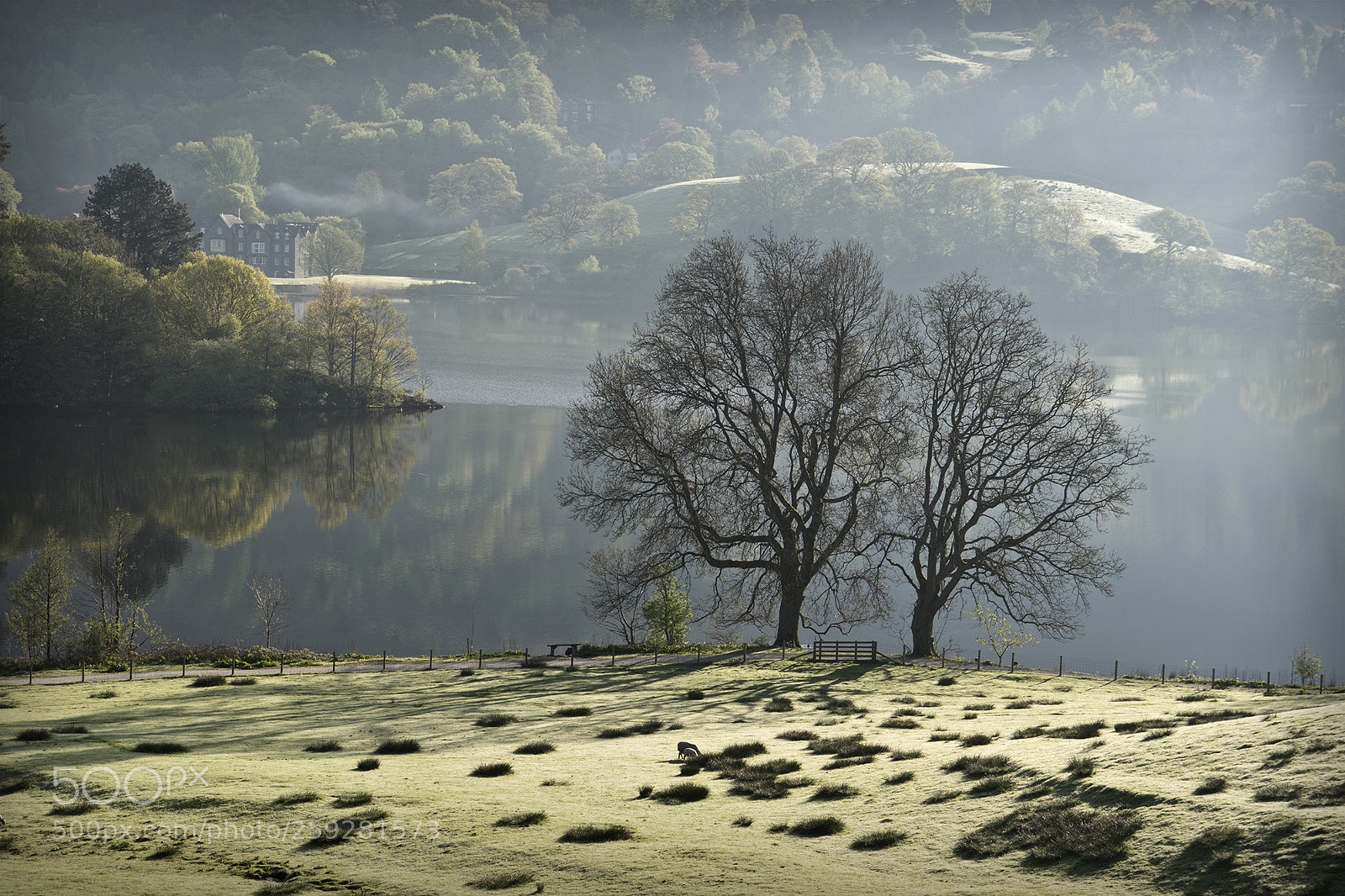 Sony a6500 sample photo. Lake district morning photography