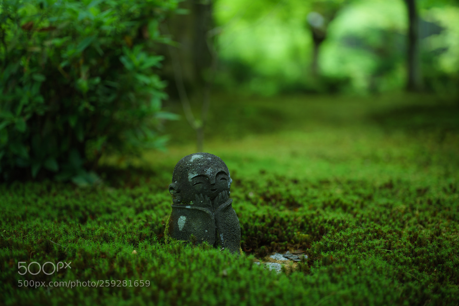 Sony a7R III sample photo. 圓光寺ver ilce-7rm3 photography