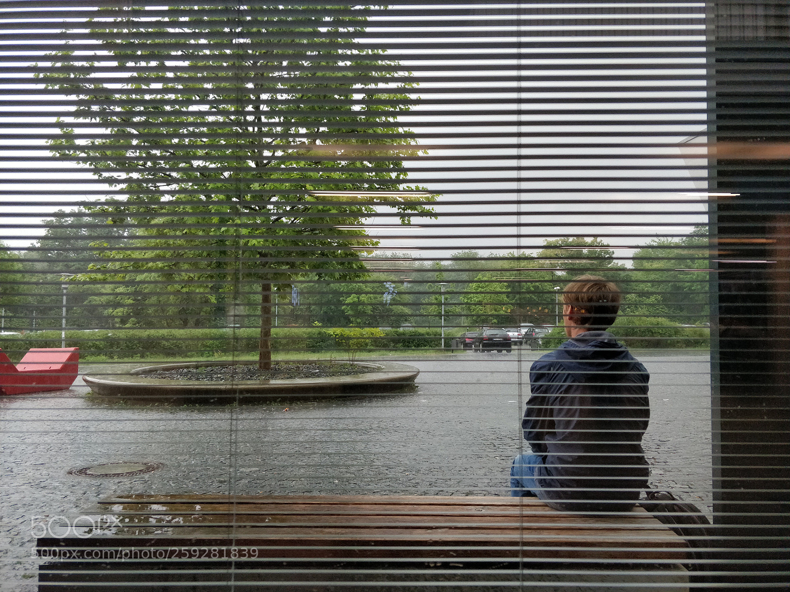 OnePlus 5 sample photo. Rain photography