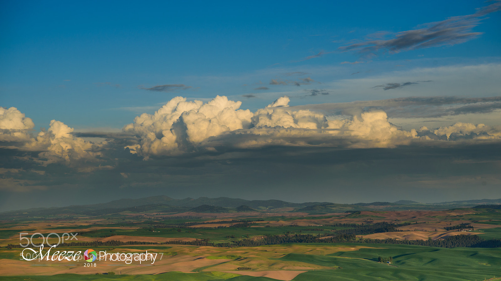 Nikon D750 sample photo. From the top of photography
