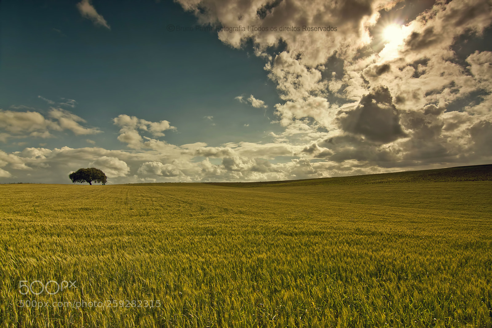 Canon EOS 50D sample photo. Alentejo-portugal photography