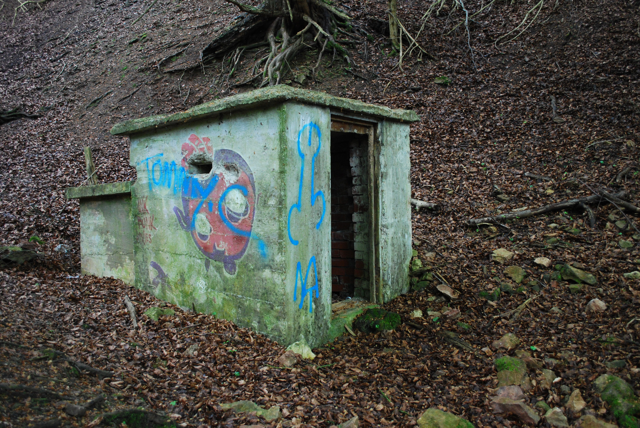 Nikon D60 sample photo. Bunker to nowhere photography