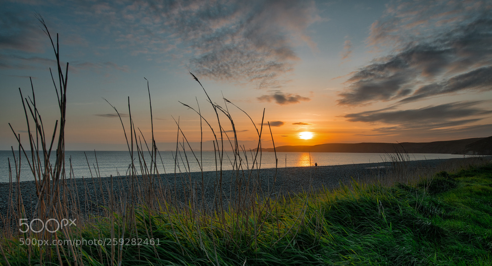 Nikon D850 sample photo. St brides photography