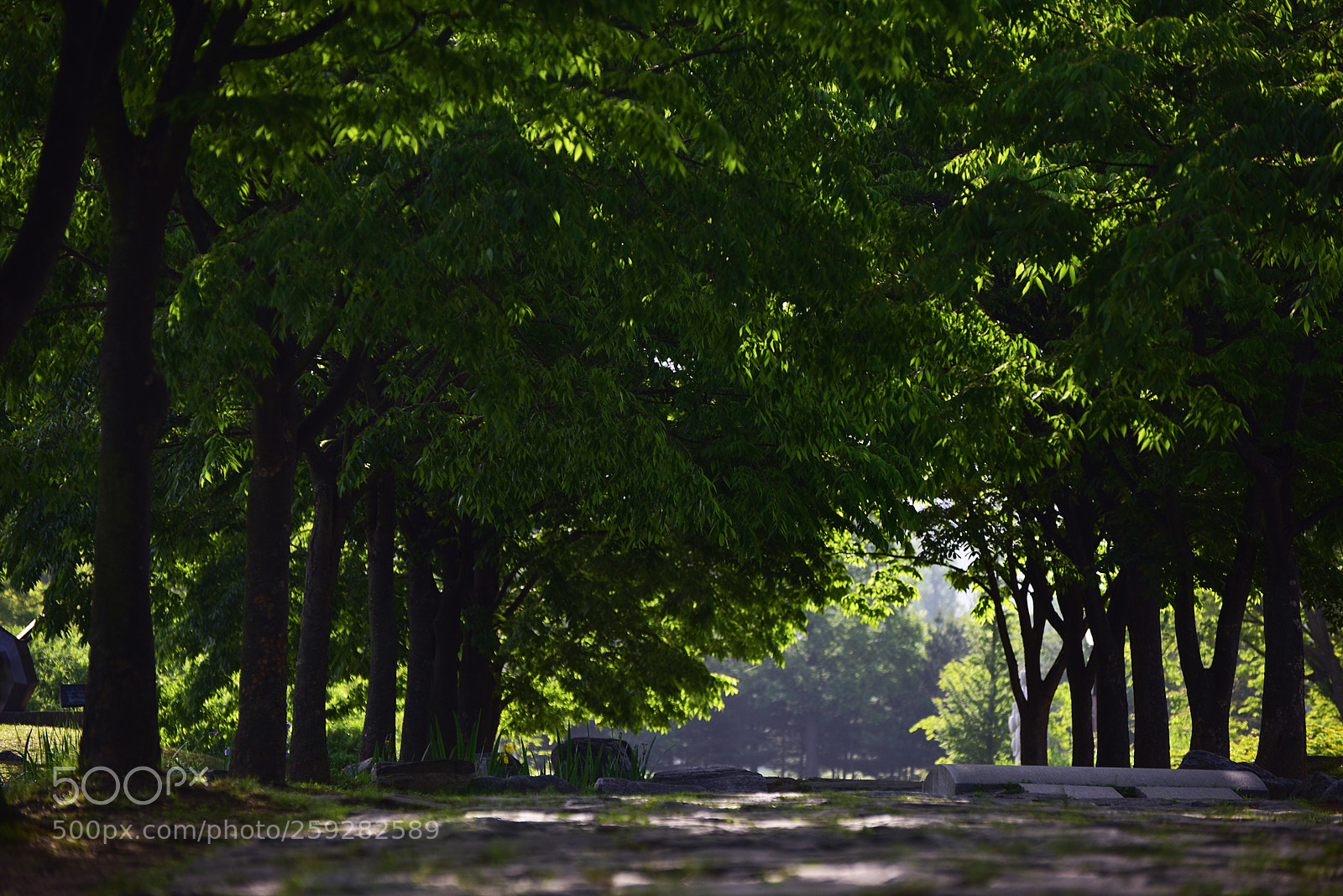 Nikon D810 sample photo. Untitled photography