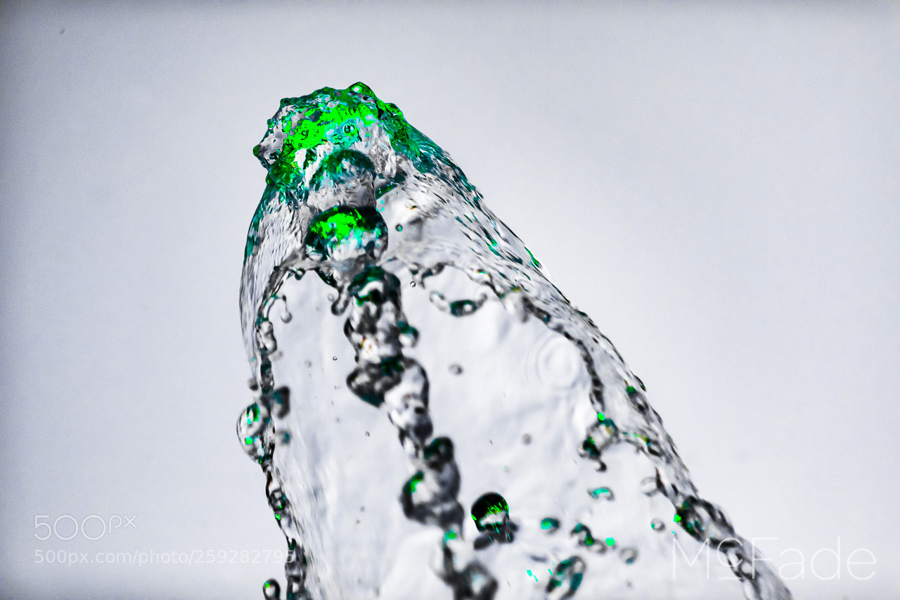 Canon EOS 5D Mark IV sample photo. Green monster - 123 photography
