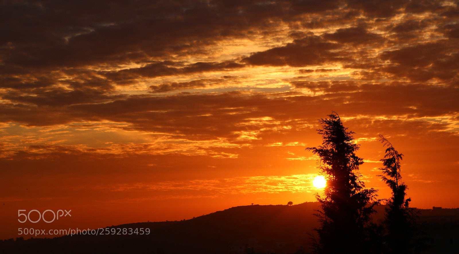 Canon EOS 750D (EOS Rebel T6i / EOS Kiss X8i) sample photo. Sunset ......:) photography
