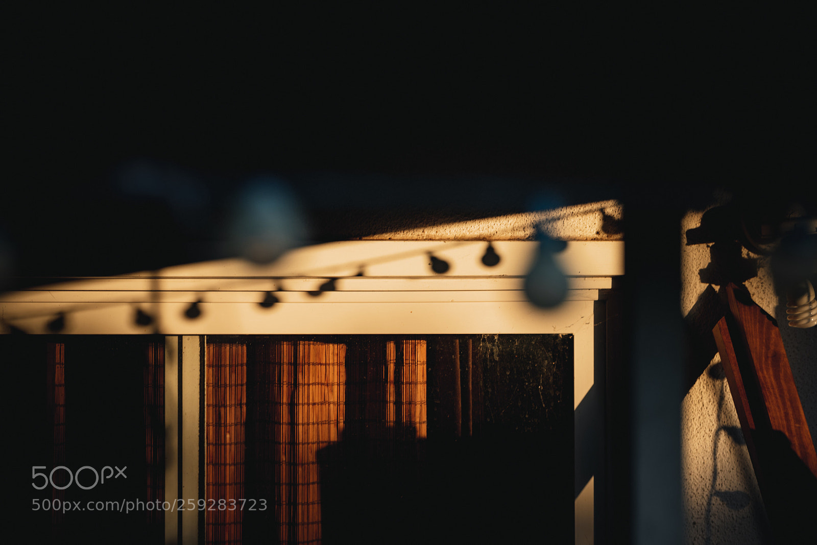 Nikon D750 sample photo. The beauty of sunlight. photography