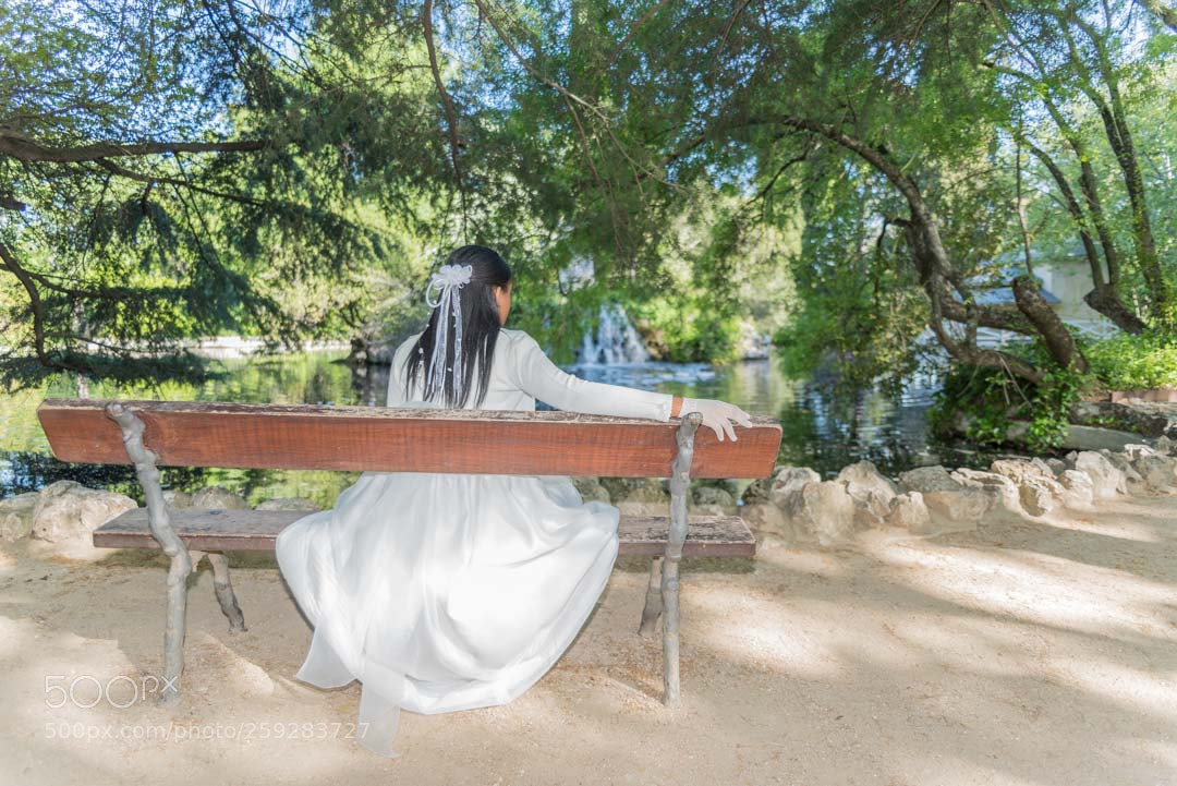Nikon D750 sample photo. _7503857.jpg photography