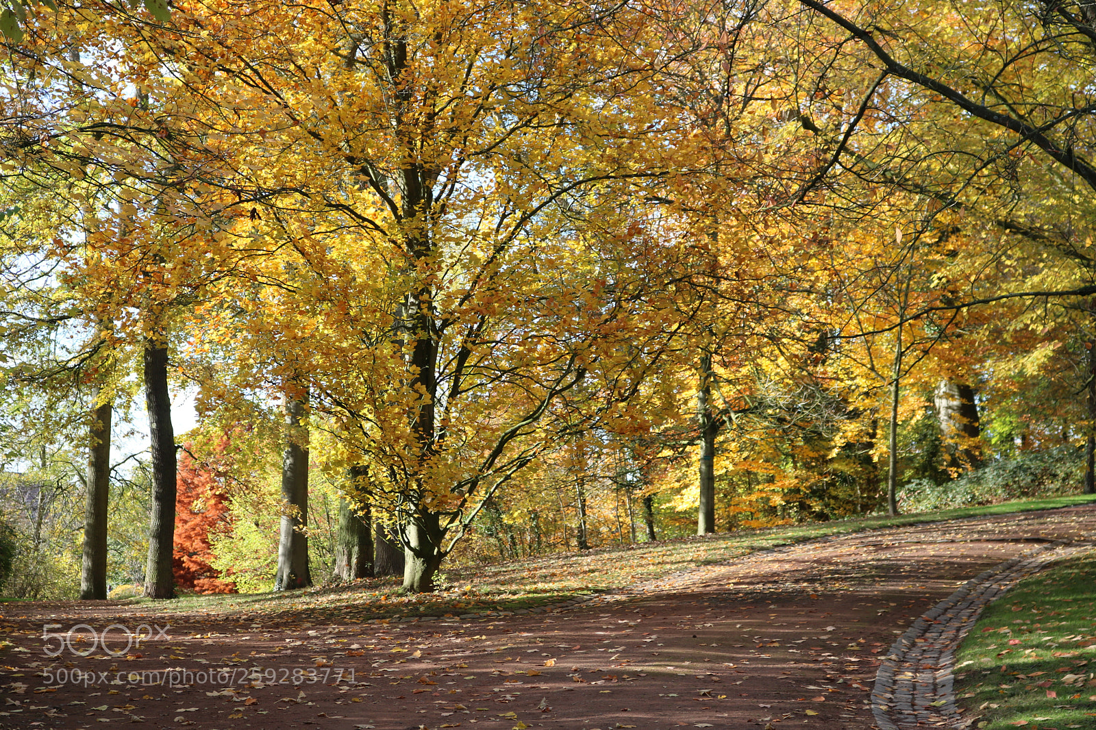 Canon EOS 750D (EOS Rebel T6i / EOS Kiss X8i) sample photo. Automn mariemont photography