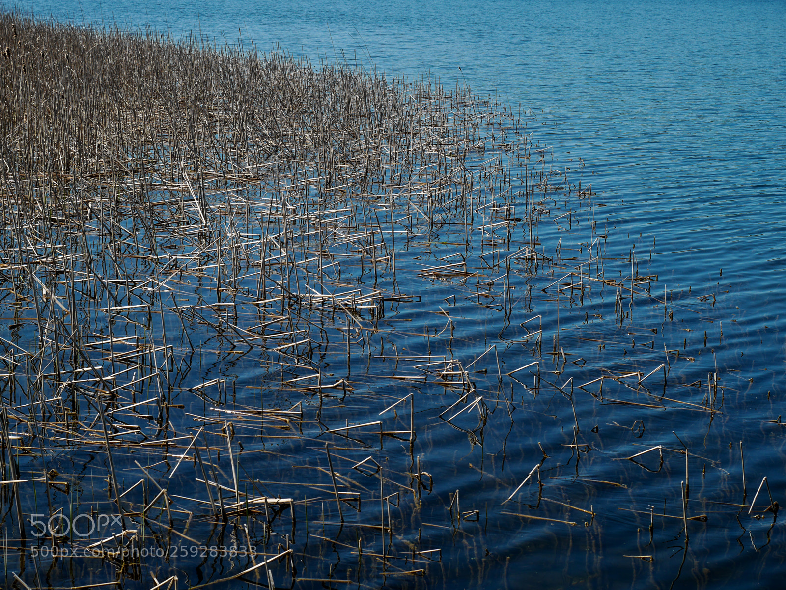 Panasonic Lumix DMC-GX7 sample photo. Blue water photography