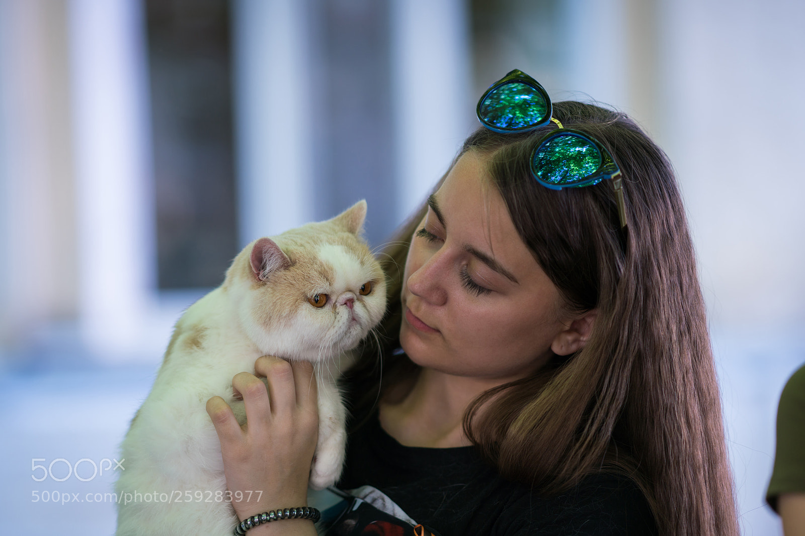 Sony a99 II sample photo. Dsc photography