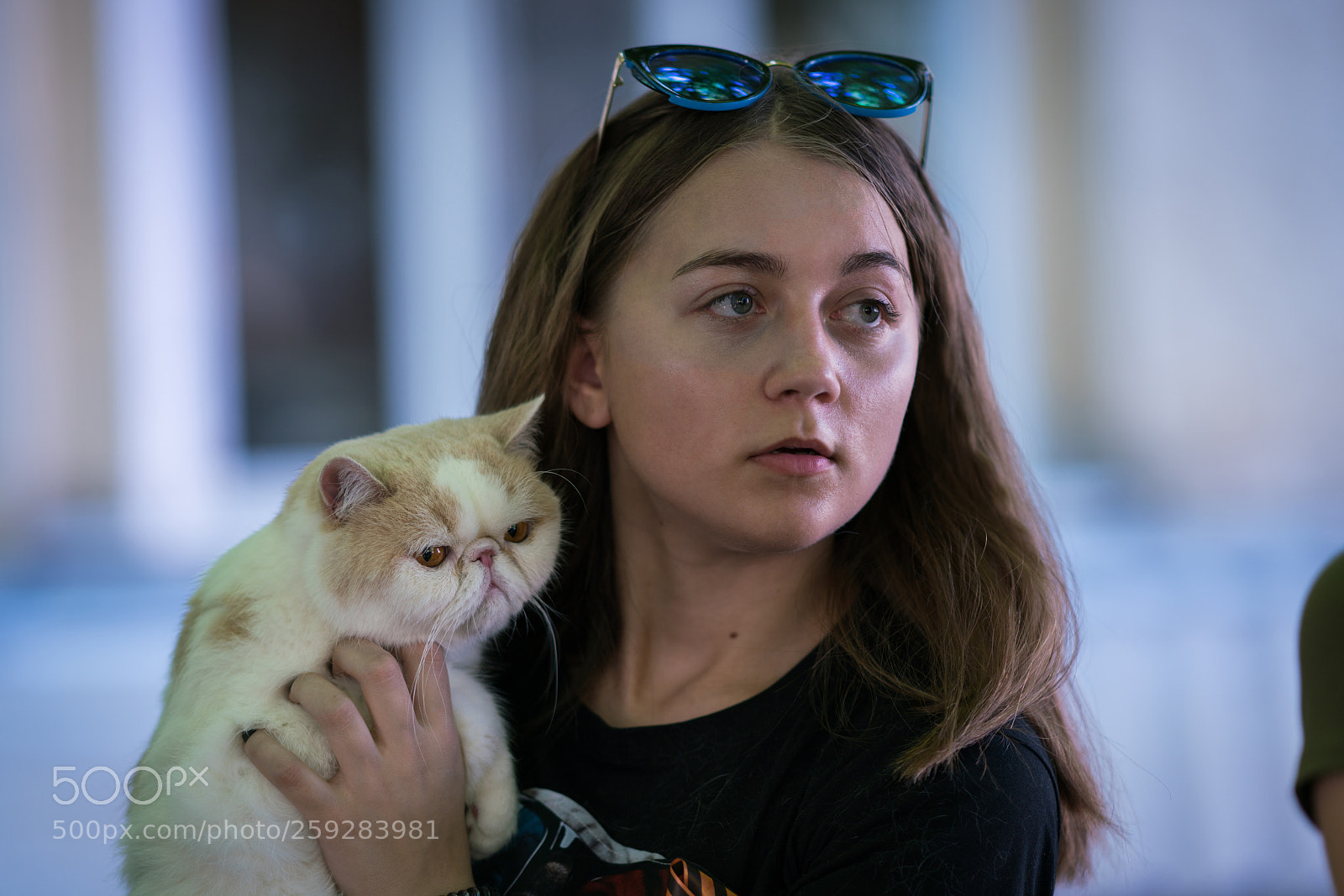 Sony a99 II sample photo. Dsc photography