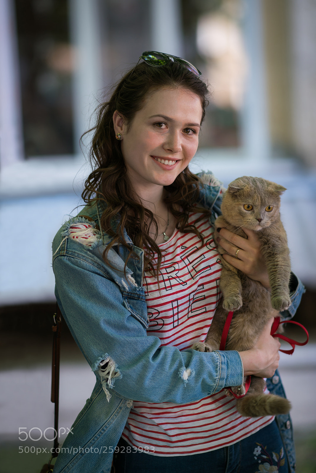 Sony a99 II sample photo. Dsc photography