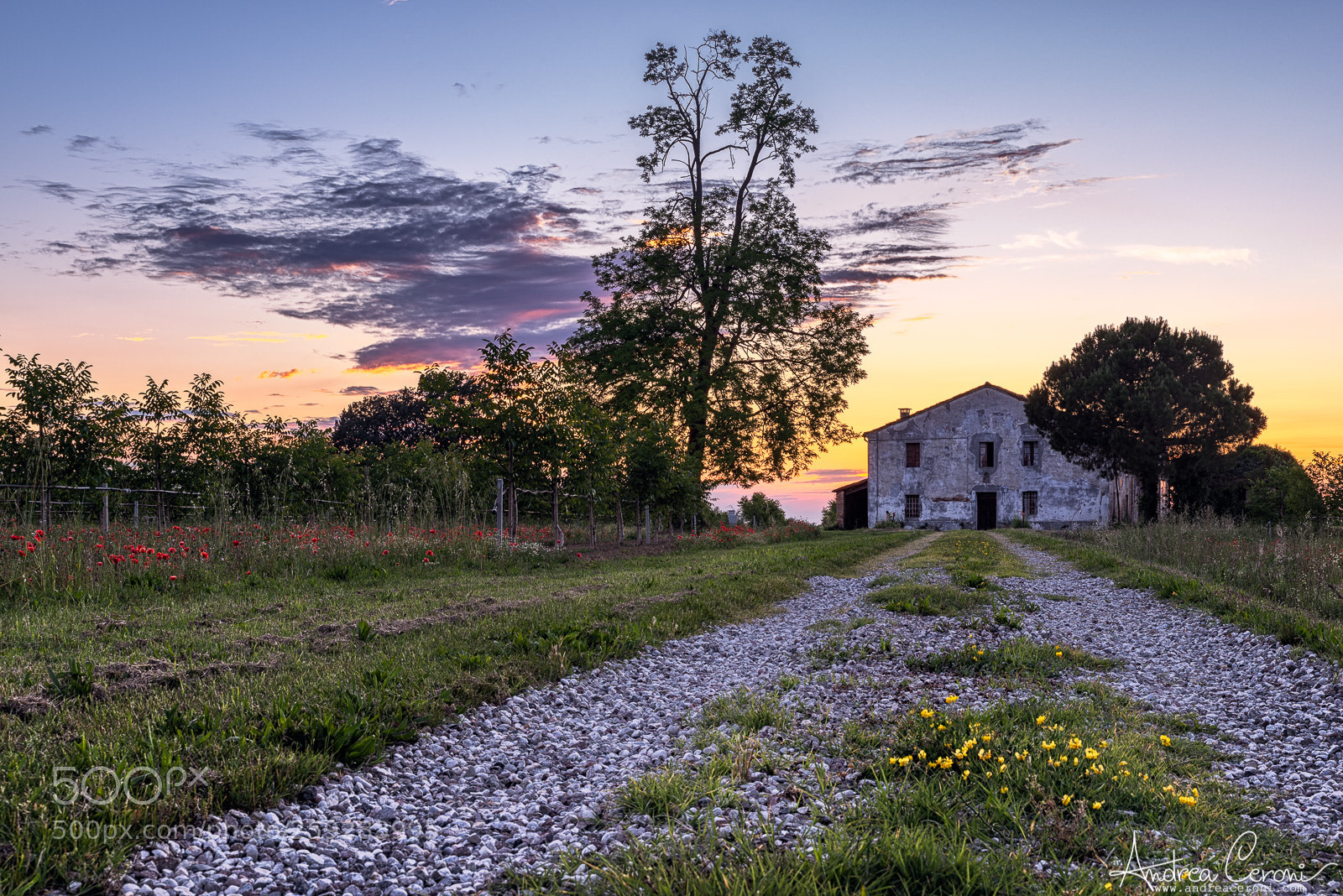 Nikon D610 sample photo. Campagnola photography