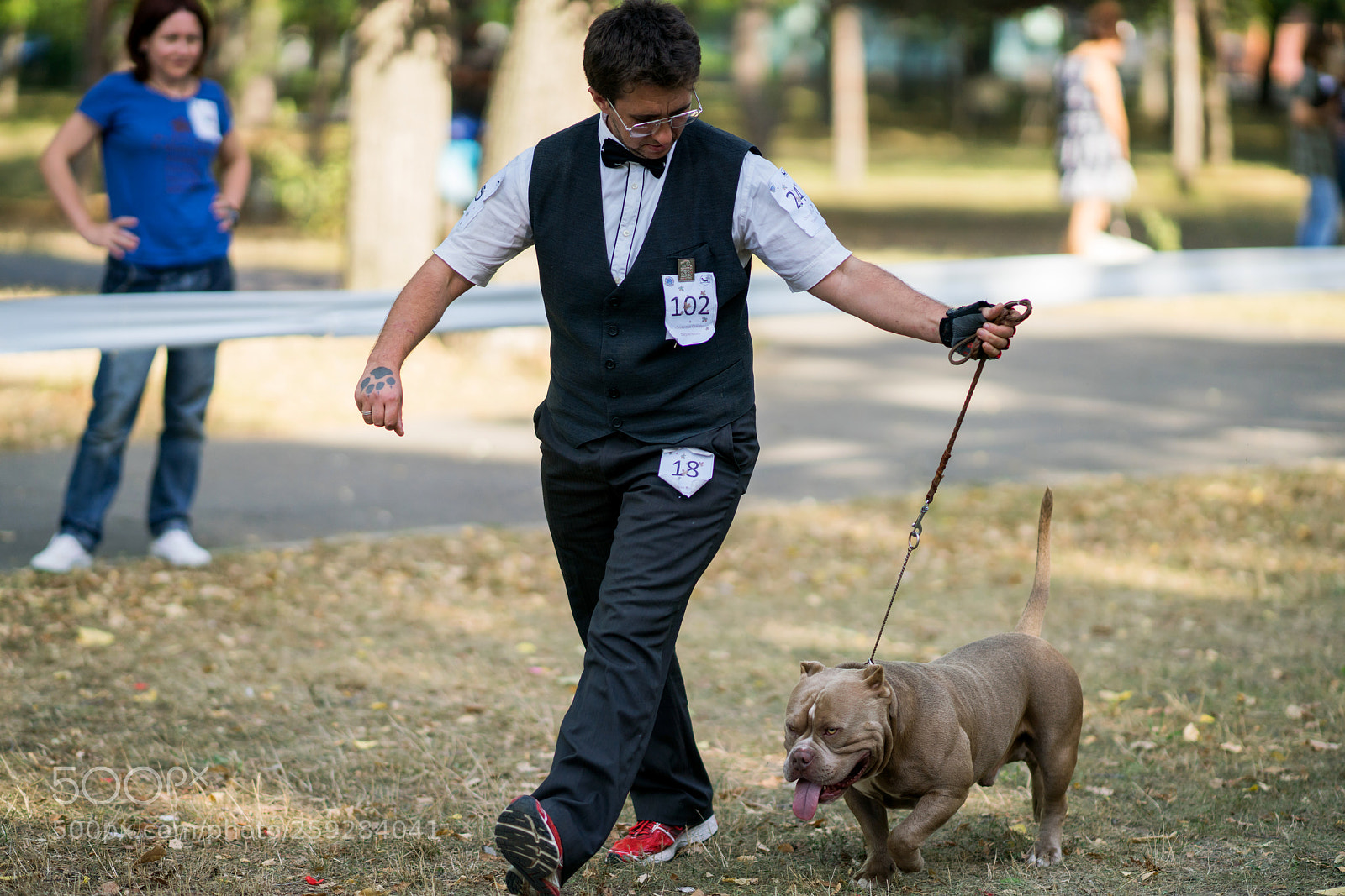 Sony a99 II sample photo. Dsc photography