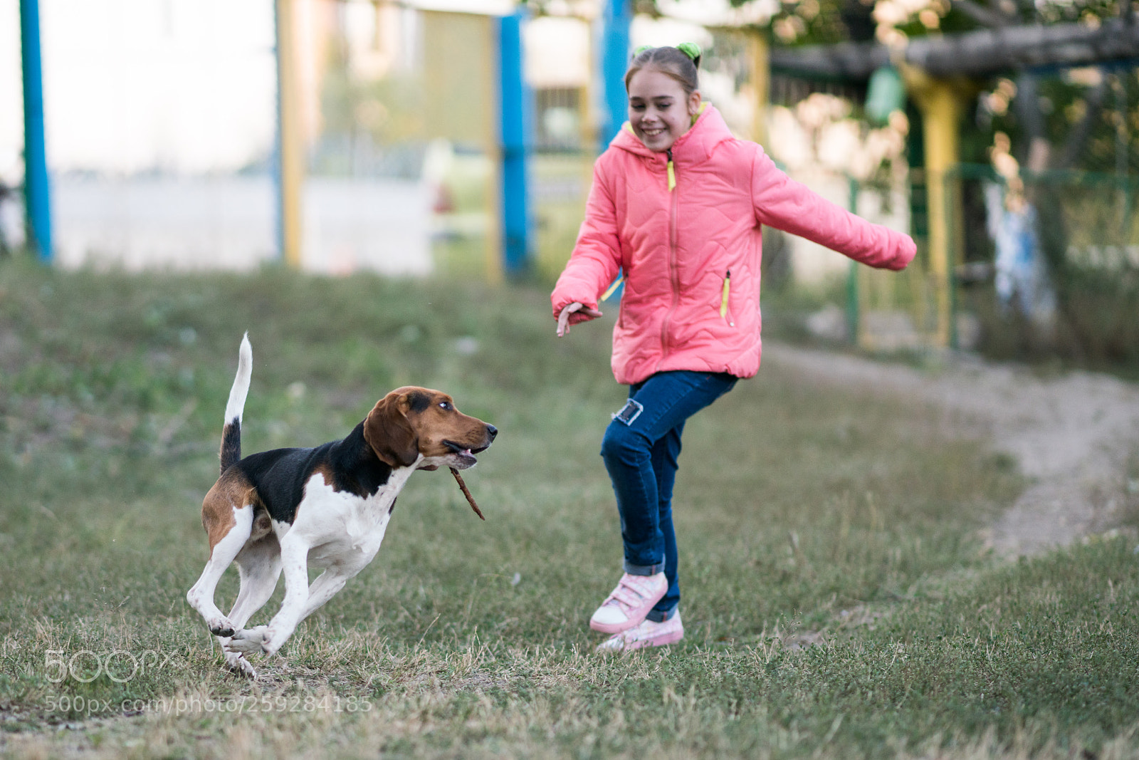 Sony a99 II sample photo. Dsc photography