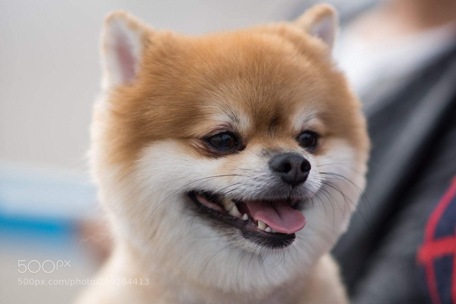 Sony ILCA-77M2 sample photo. Dsc photography