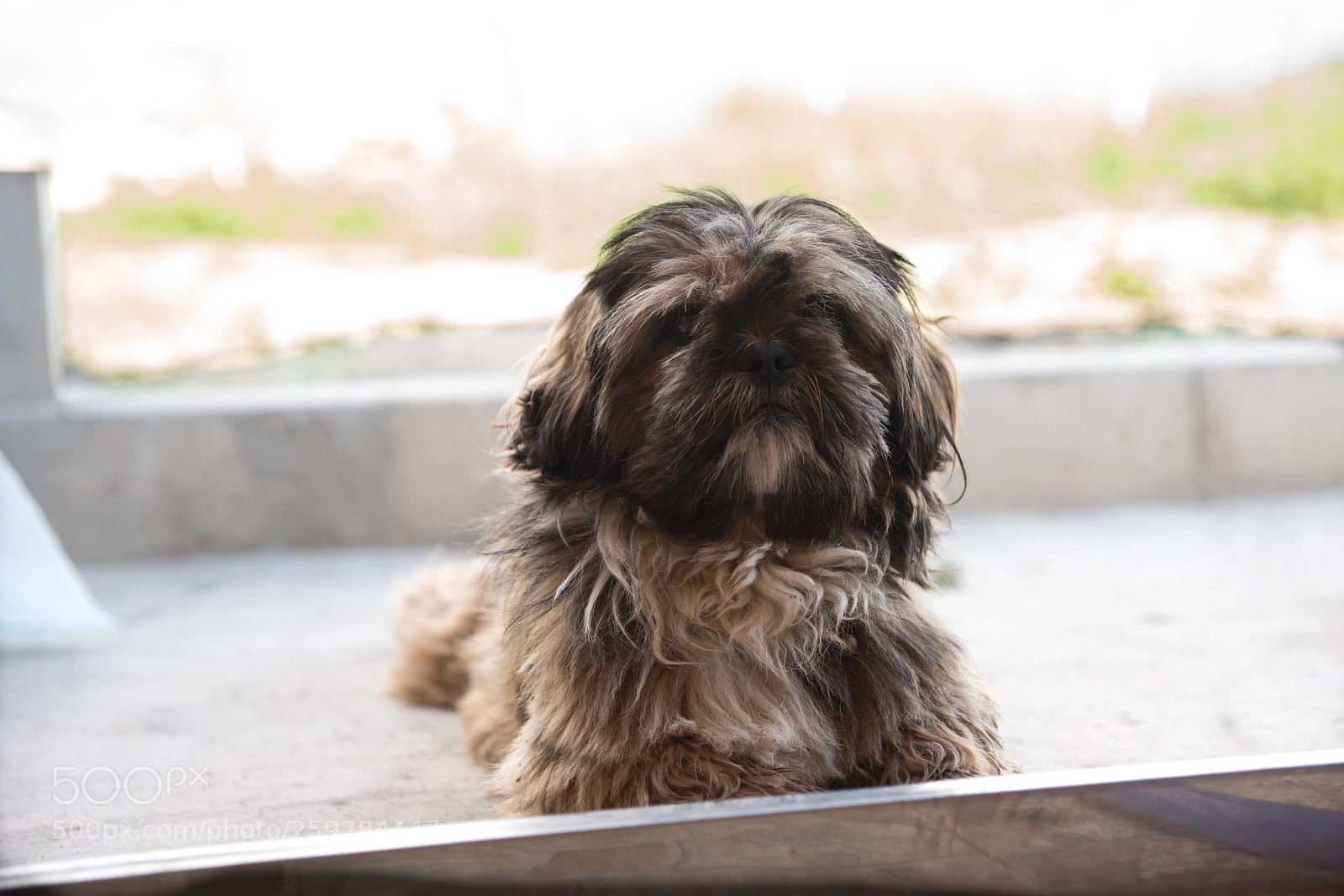Sony a99 II sample photo. Dsc photography