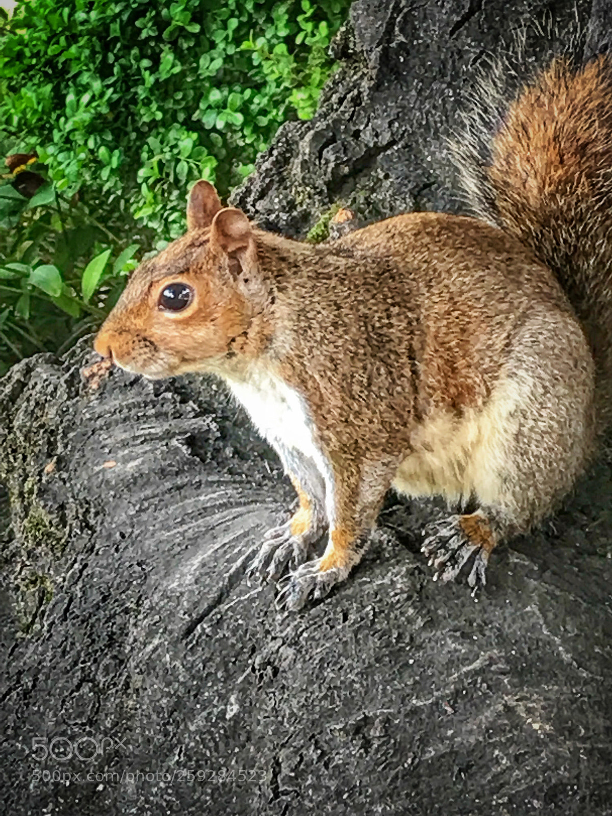 Apple iPhone 7 sample photo. Untitled photography