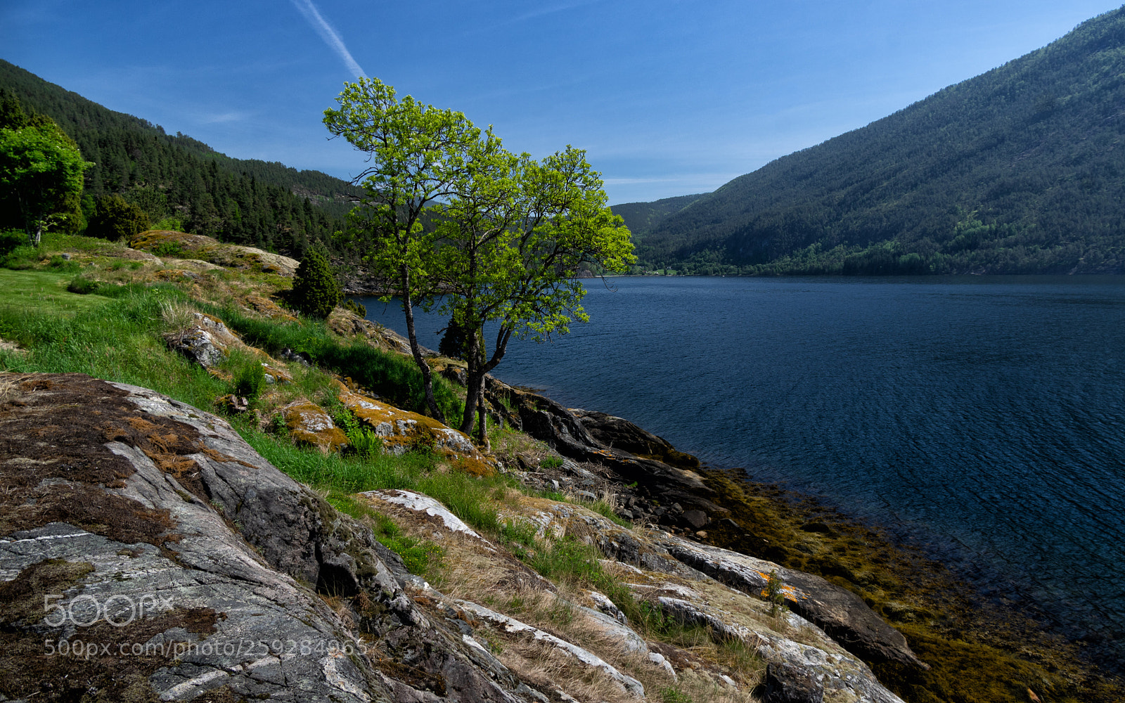 Pentax K-3 II sample photo. Vikane in norway photography