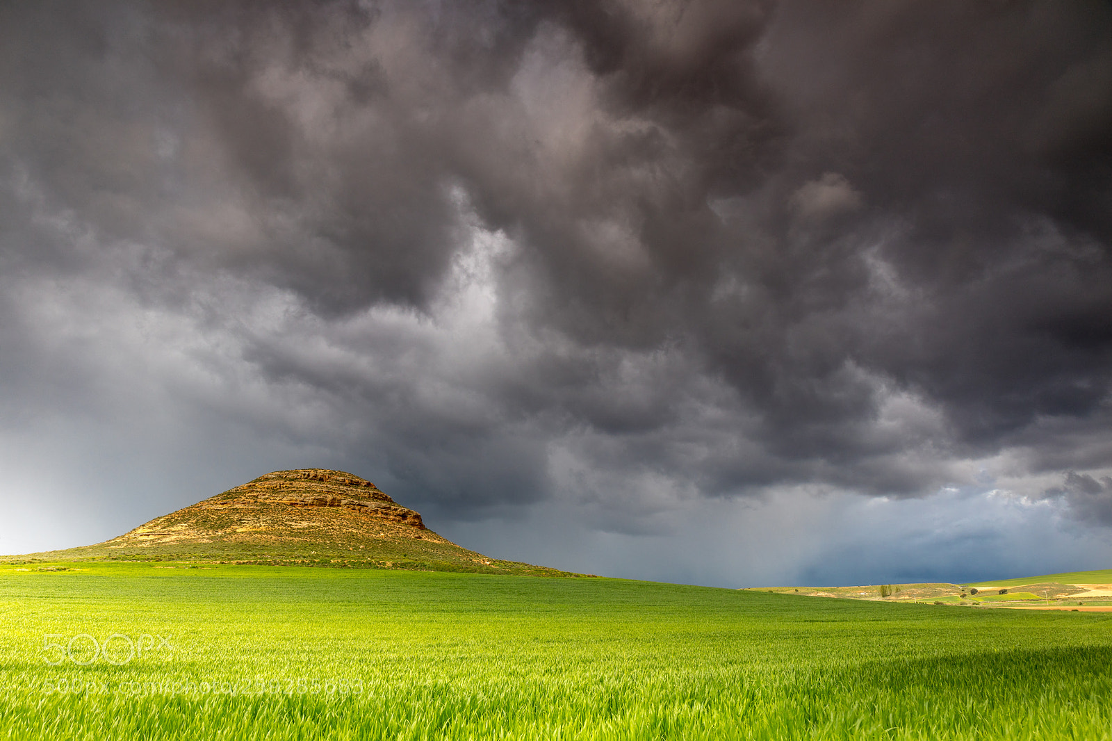 Canon EOS 5D Mark IV sample photo. Cloudy spring photography