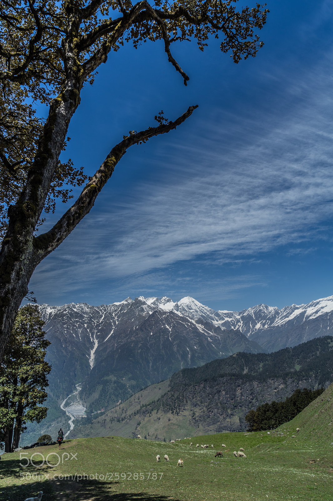Sony a7 II sample photo. Meadows & mountains photography