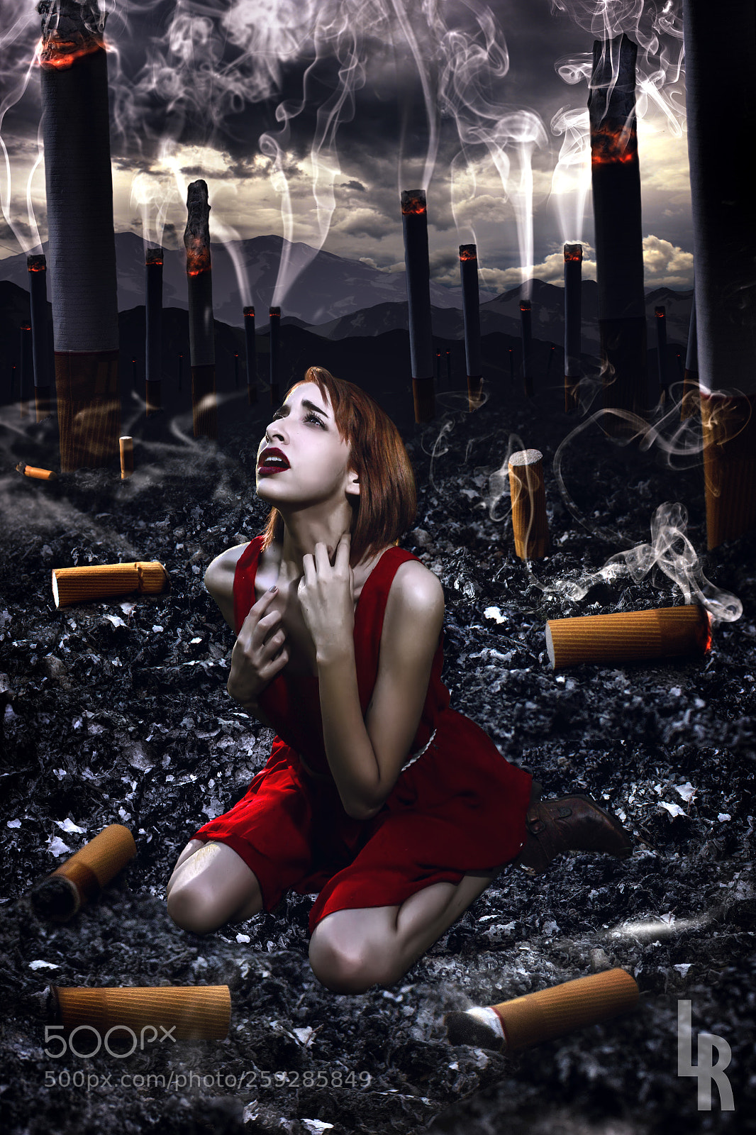 Canon EOS 600D (Rebel EOS T3i / EOS Kiss X5) sample photo. A yard of ashes photography