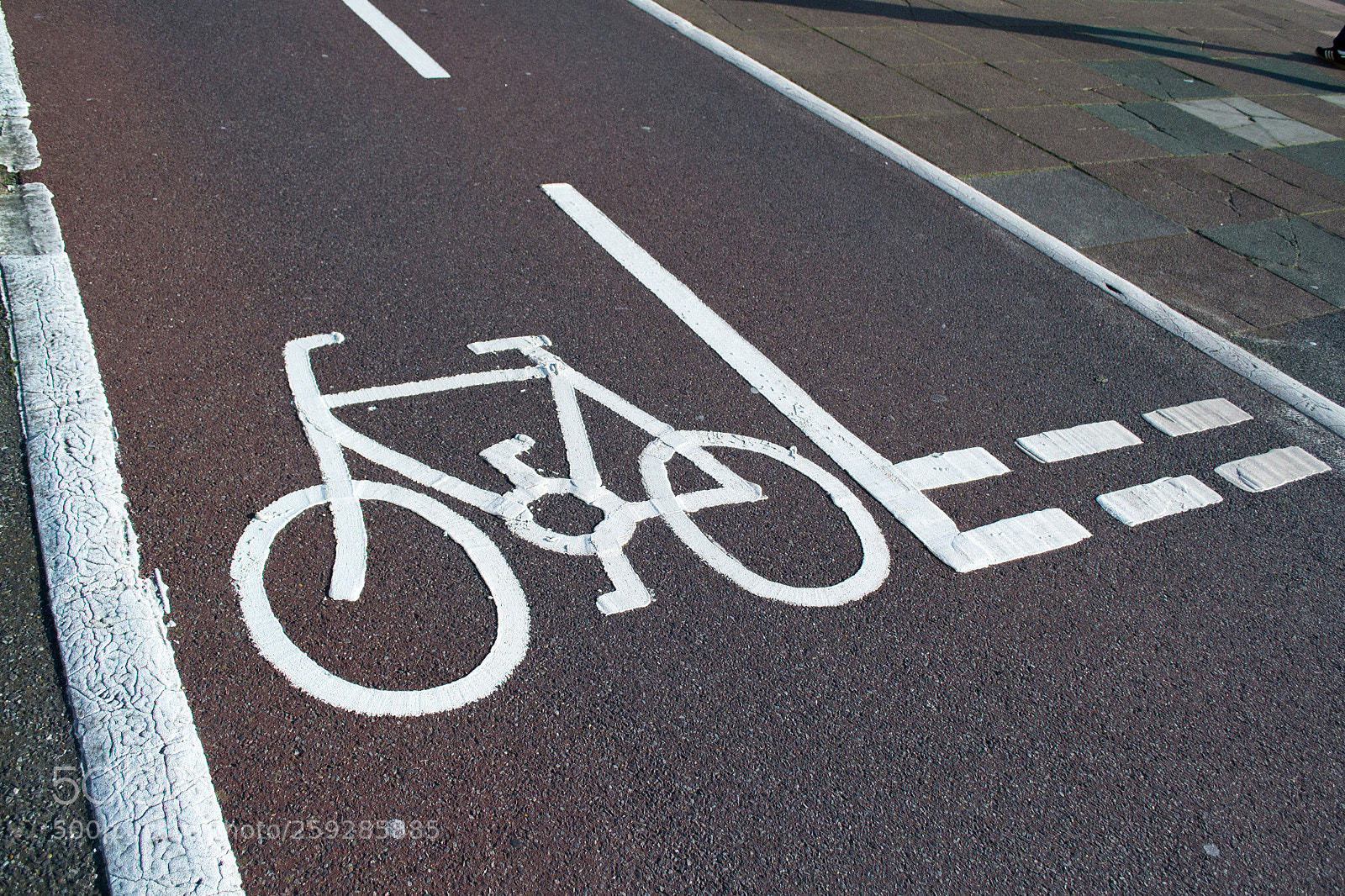 Nikon D3100 sample photo. Cycle path in the photography