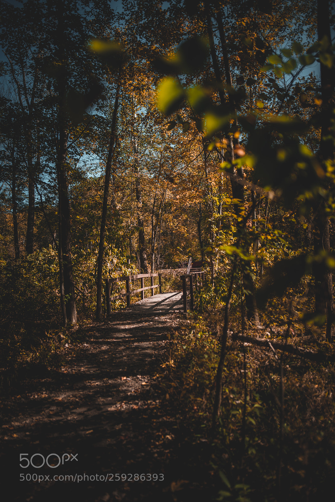 Nikon D750 sample photo. Quiet trails photography