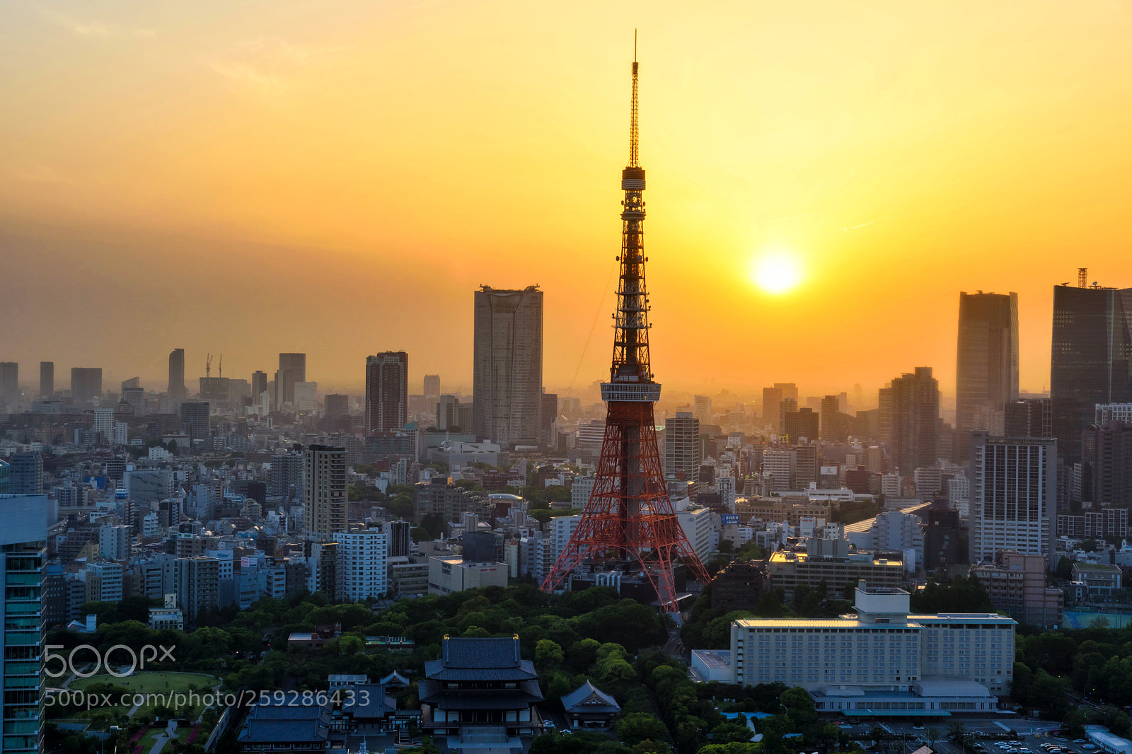 Nikon D810 sample photo. Tokyo tower at sunset photography