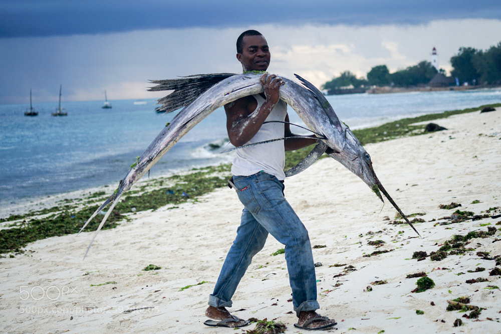 Sony a7 II sample photo. Zanzibar lr (of ) photography
