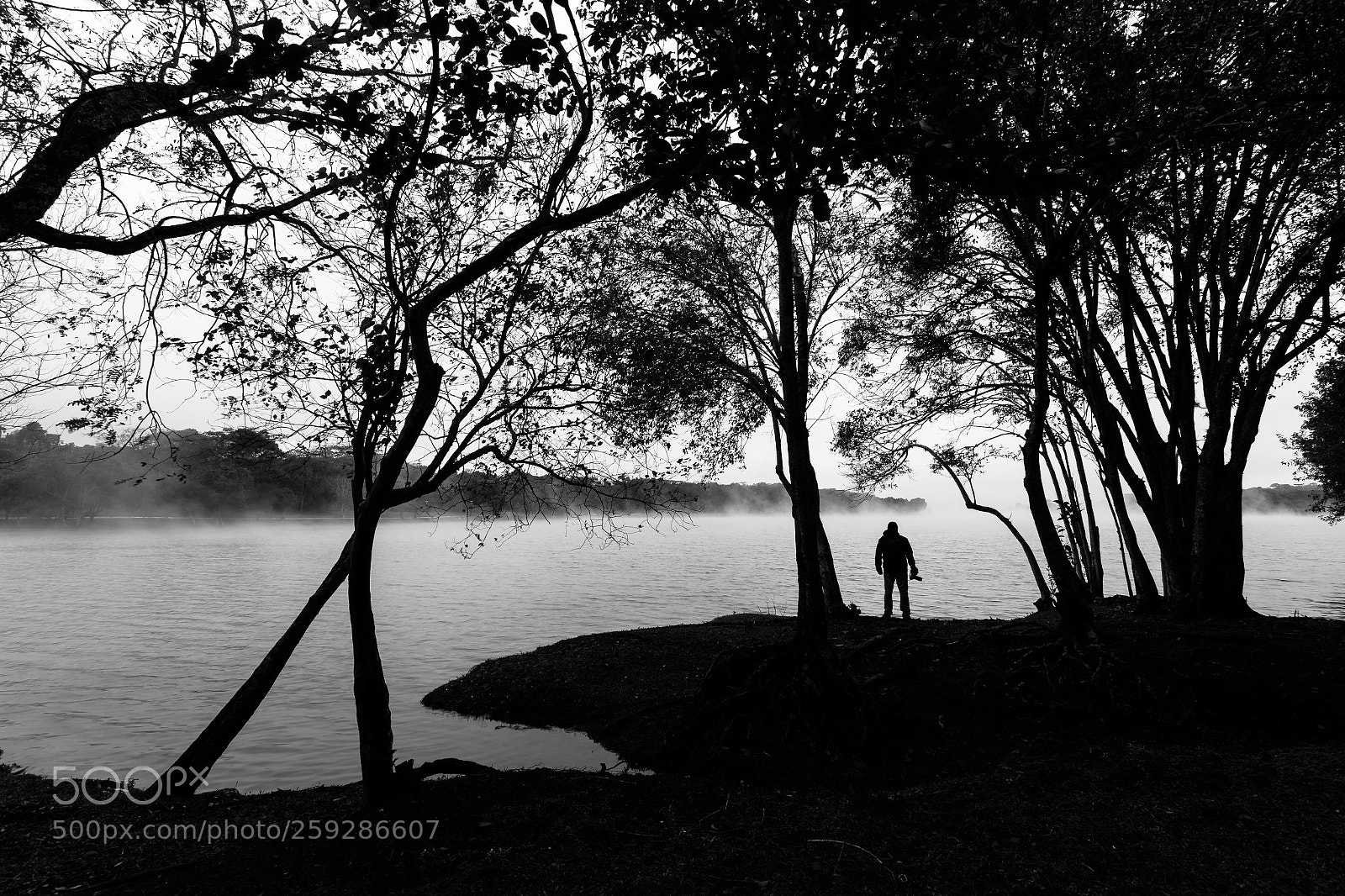 Canon EOS 6D sample photo. Morning on the lake photography