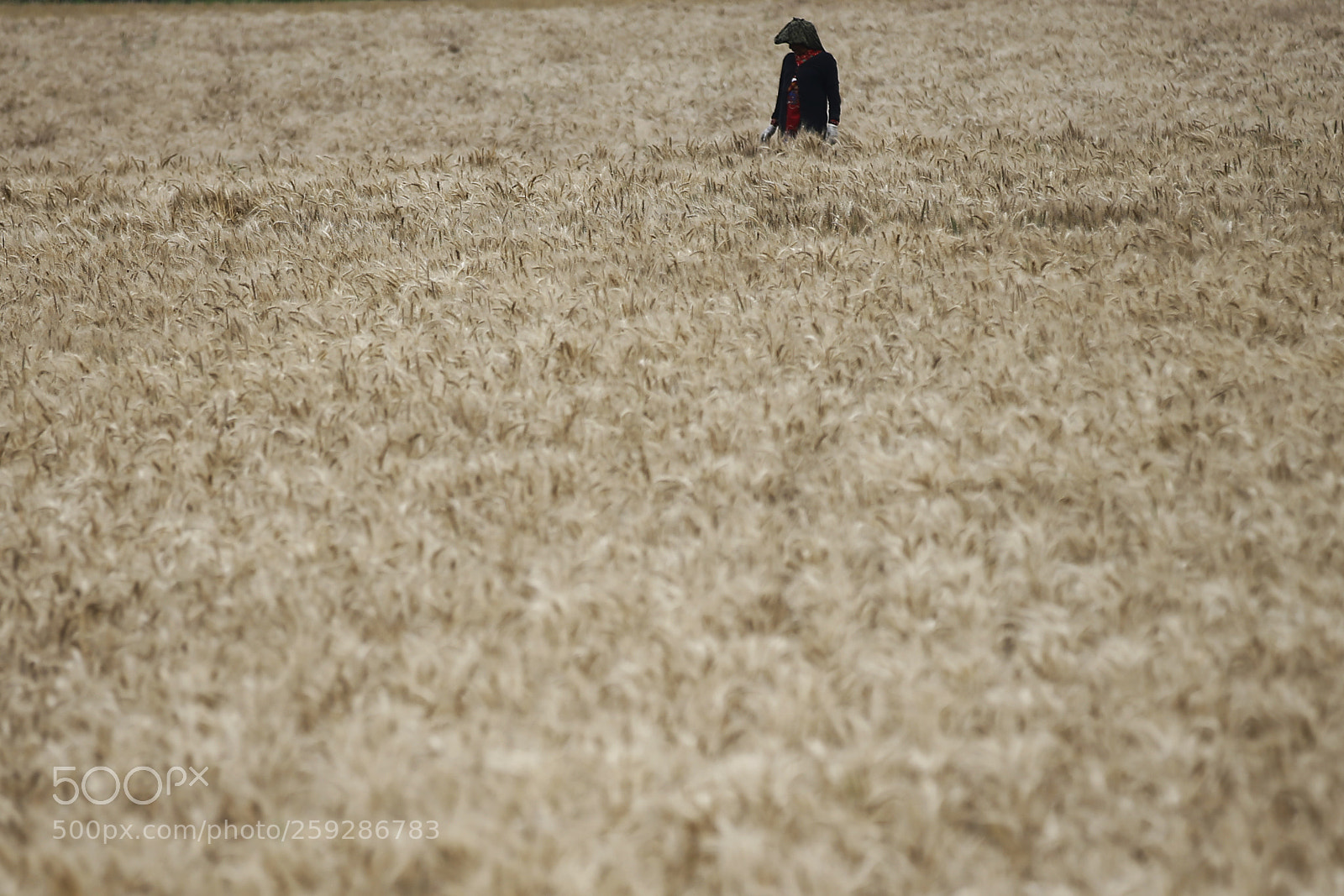 Canon EOS-1D X sample photo. Daily life in nepal photography