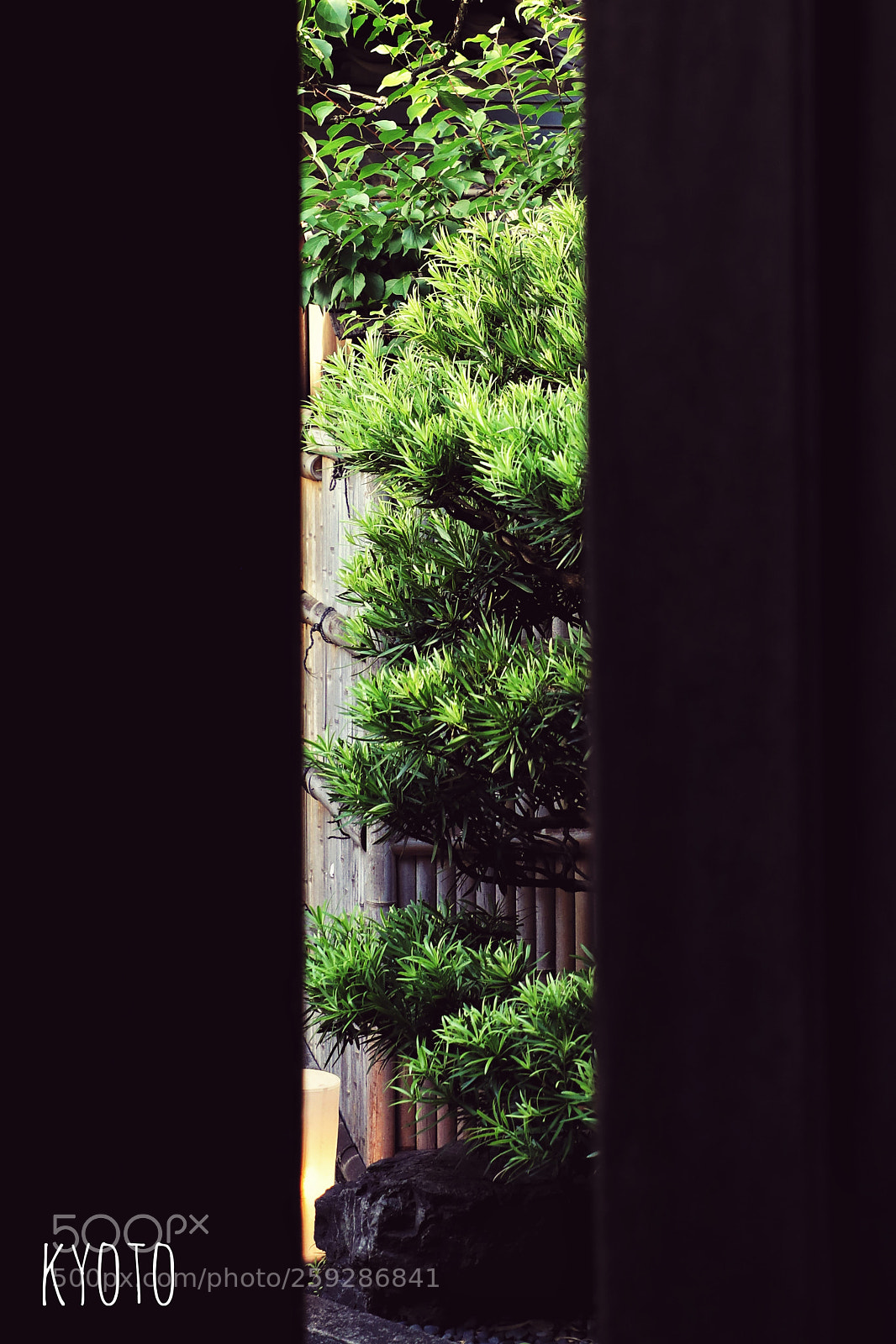 Canon EOS 5D Mark IV sample photo. Street view of kyoto photography