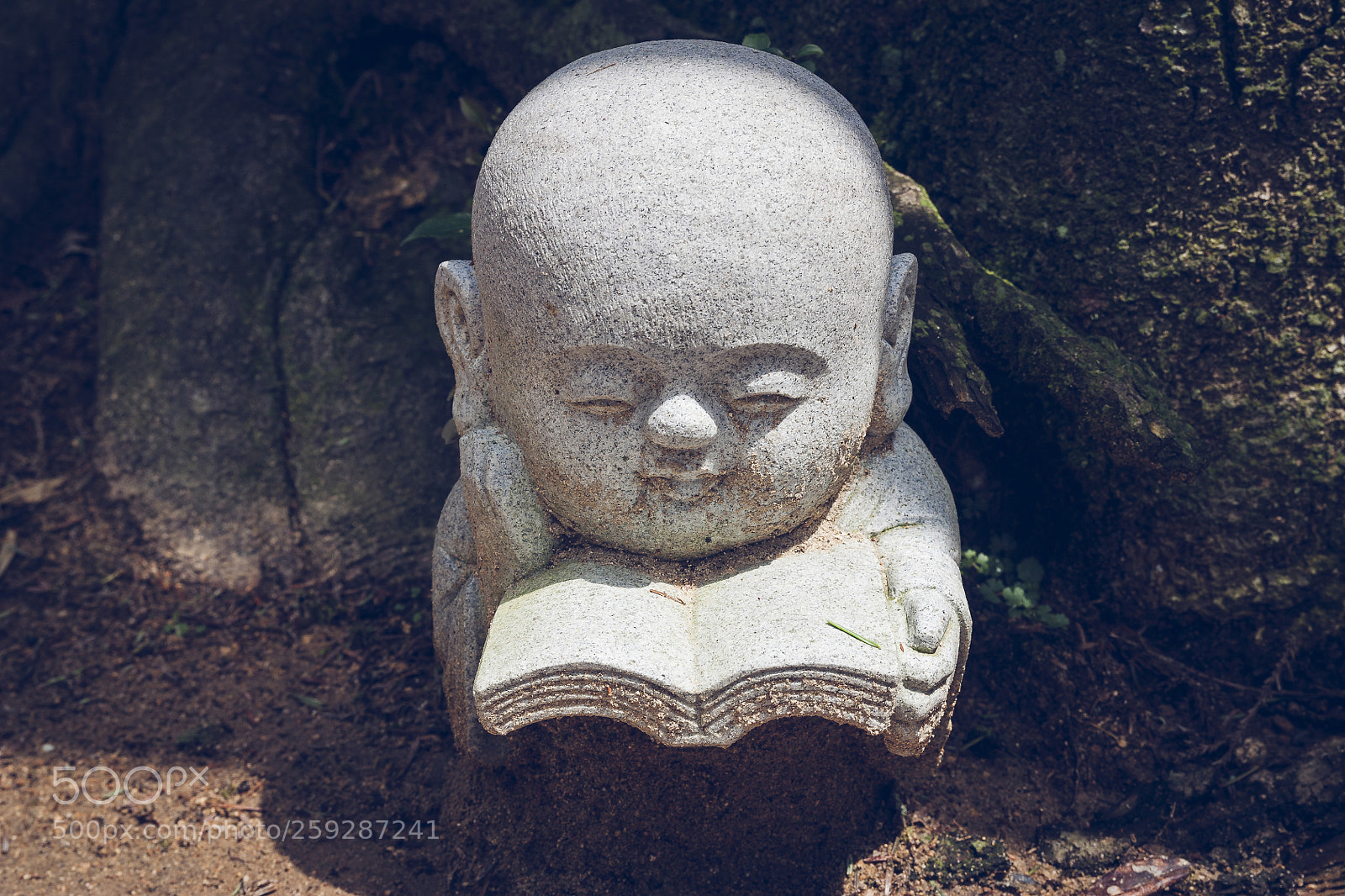 Canon EOS 450D (EOS Rebel XSi / EOS Kiss X2) sample photo. Jizo statue at miyajima photography