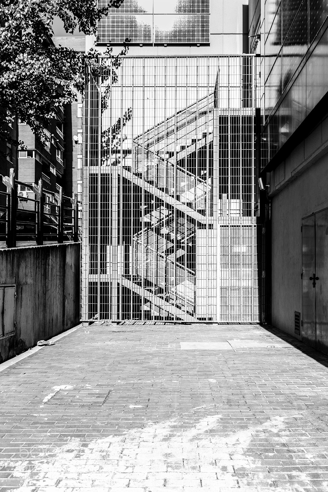 Canon EOS 6D sample photo. Mg photography