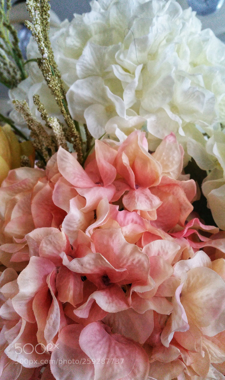 Samsung Galaxy Note4 sample photo. New arrangement photography