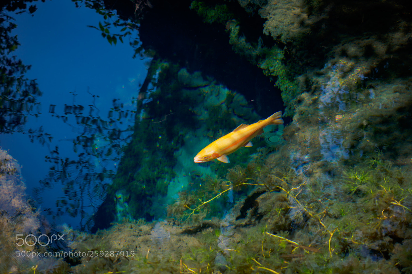 Olympus OM-D E-M10 II sample photo. Deep blue water to photography