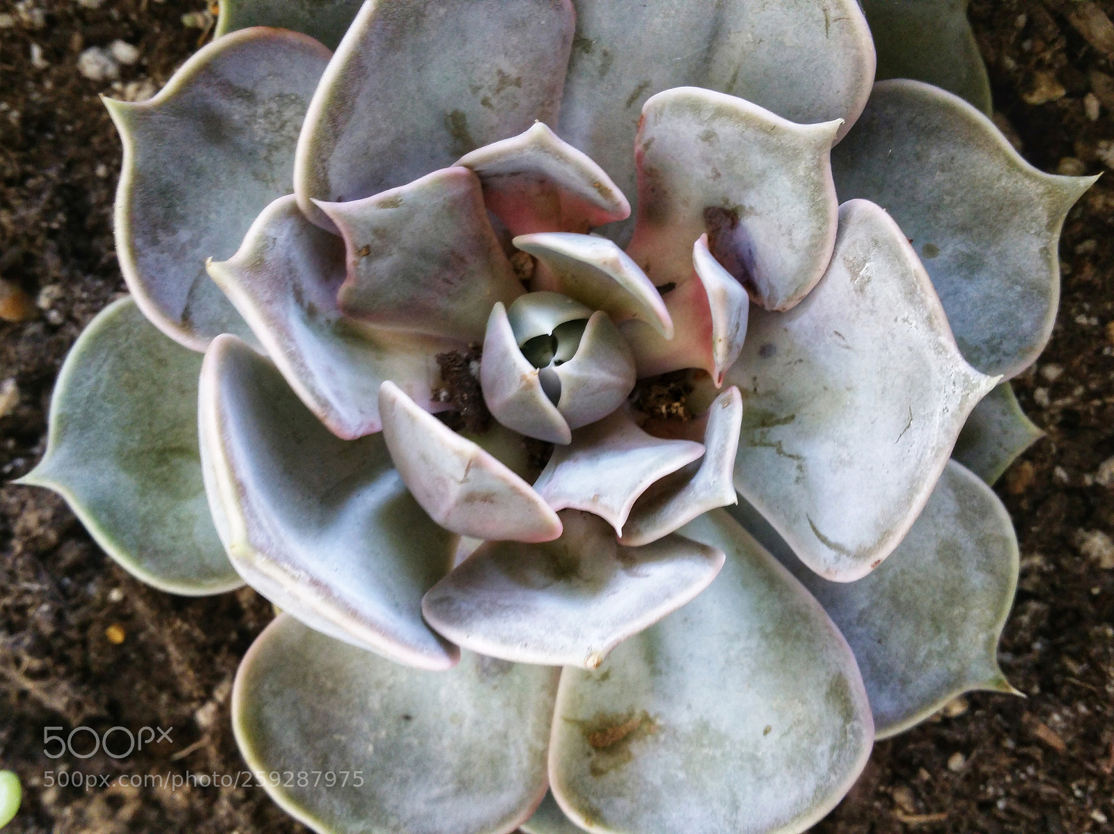 Samsung Galaxy Note4 sample photo. Very interesting photography
