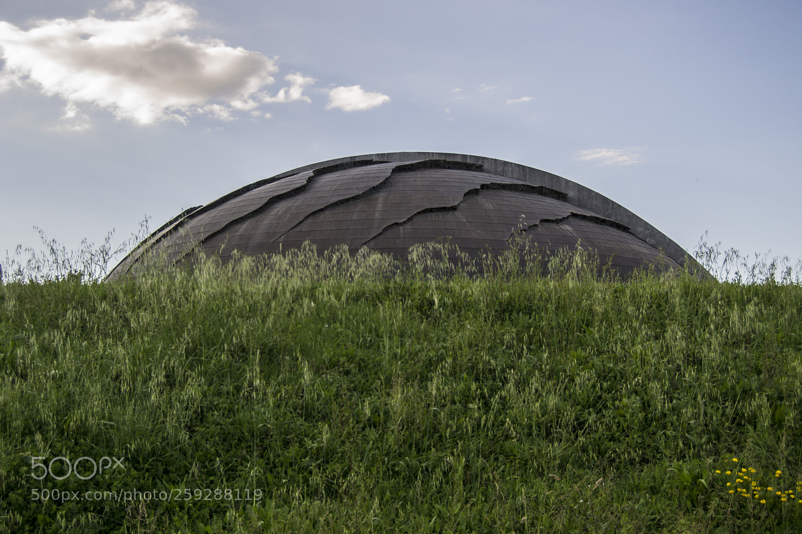 Nikon D3100 sample photo. Il carapace. photography